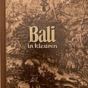 Bali in kleuren 
