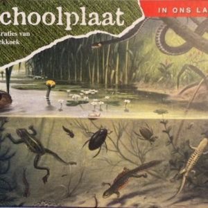  de schoolplaat - in ons land