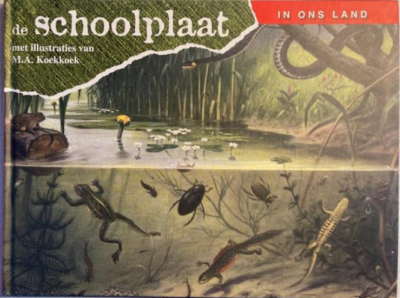  de schoolplaat - in ons land