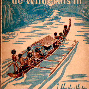 De wildernis in - Een zendingsverhaal voor jongens en meisjes 