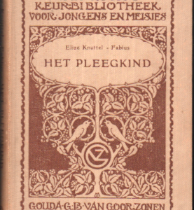 Het pleegkind 