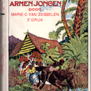 De schat van den armen jongen 