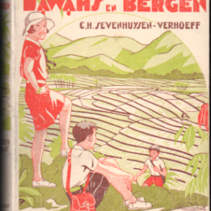 Tussen Sawahs en Bergen