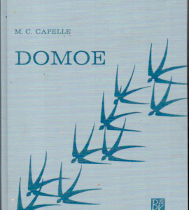 Domoe de zoon van het dorpshoofd 