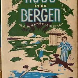 Hoog in de bergen
