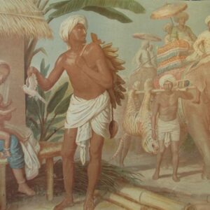 -India-          Terug van de tijgerjacht    