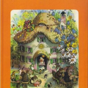  Feesten in Kabouterland  (verkocht)