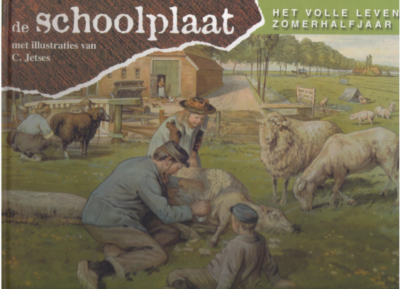  de schoolplaat Het volle leven zomerhalfjaar