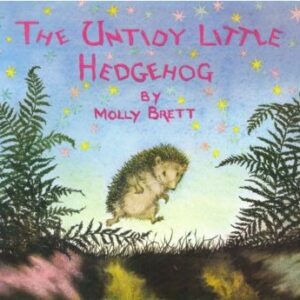 The Untidy little Hedgehog 