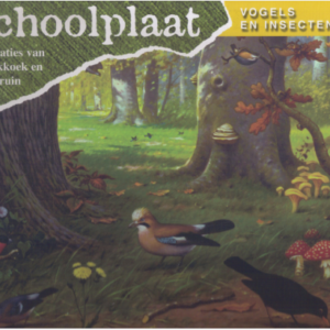 de schoolplaat vogels en insecten