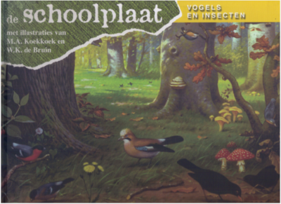 de schoolplaat vogels en insecten