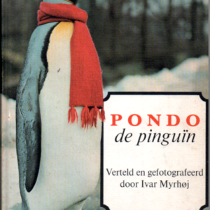 Pondo de pinguin (verkocht)