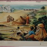   Bellarminus-bijbelplaten  nr. 13   "Jozef en de Broers" 