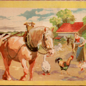 Leporello over de boerderij met dieren 