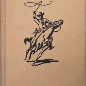 Het raadsel van de Mosquitovallei