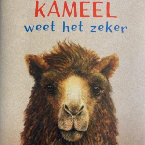 Kameel weet het zeker