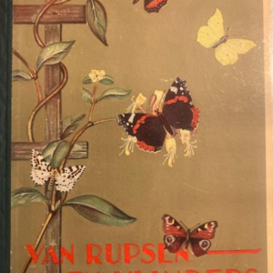 Van rupsen en vlinders