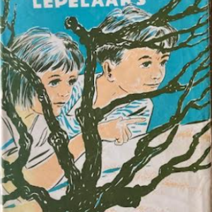 De twee verdwenen leperaars - de geheimen van Texel