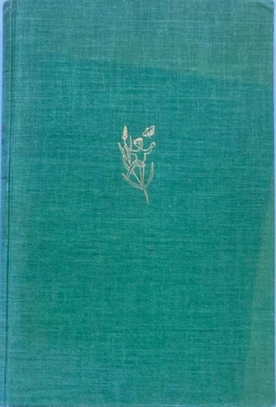 Het jeugdboek in de loop der eeuwen