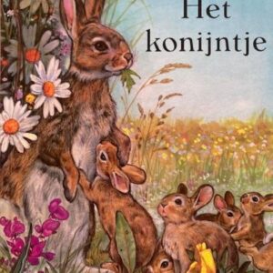 Speurtocht naar ... Het konijntje