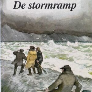 De stormramp