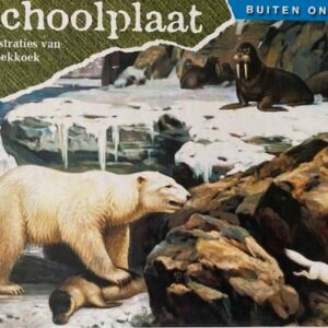 De schoolplaat - Buiten ons land