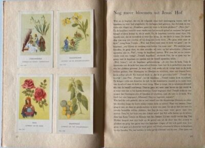 Bloemen uit Jesus' hof - Afbeelding 2